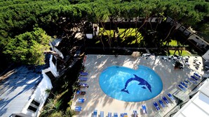 Une piscine sur le toit, décorée avec un motif de dauphin, entourée de chaises longues et offrant une vue sur l’océan.