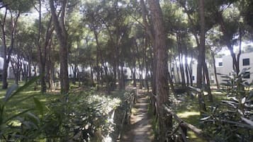 花園