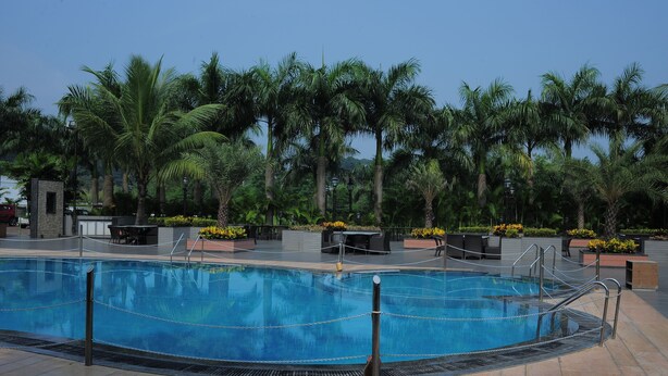 Una piscina rodeada de palmeras y zonas de estar al aire libre.