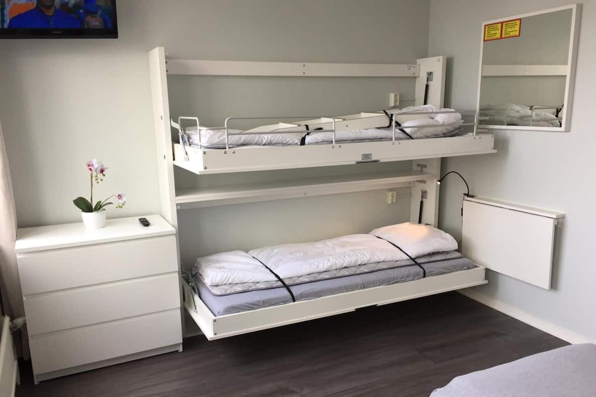 Desk, free cribs/infant beds, rollaway beds, free WiFi