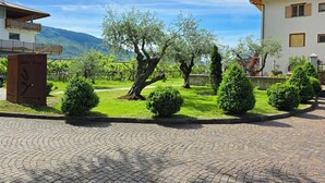A vineyard with a reception area, a paved courtyard, and a building with a tiled roof.