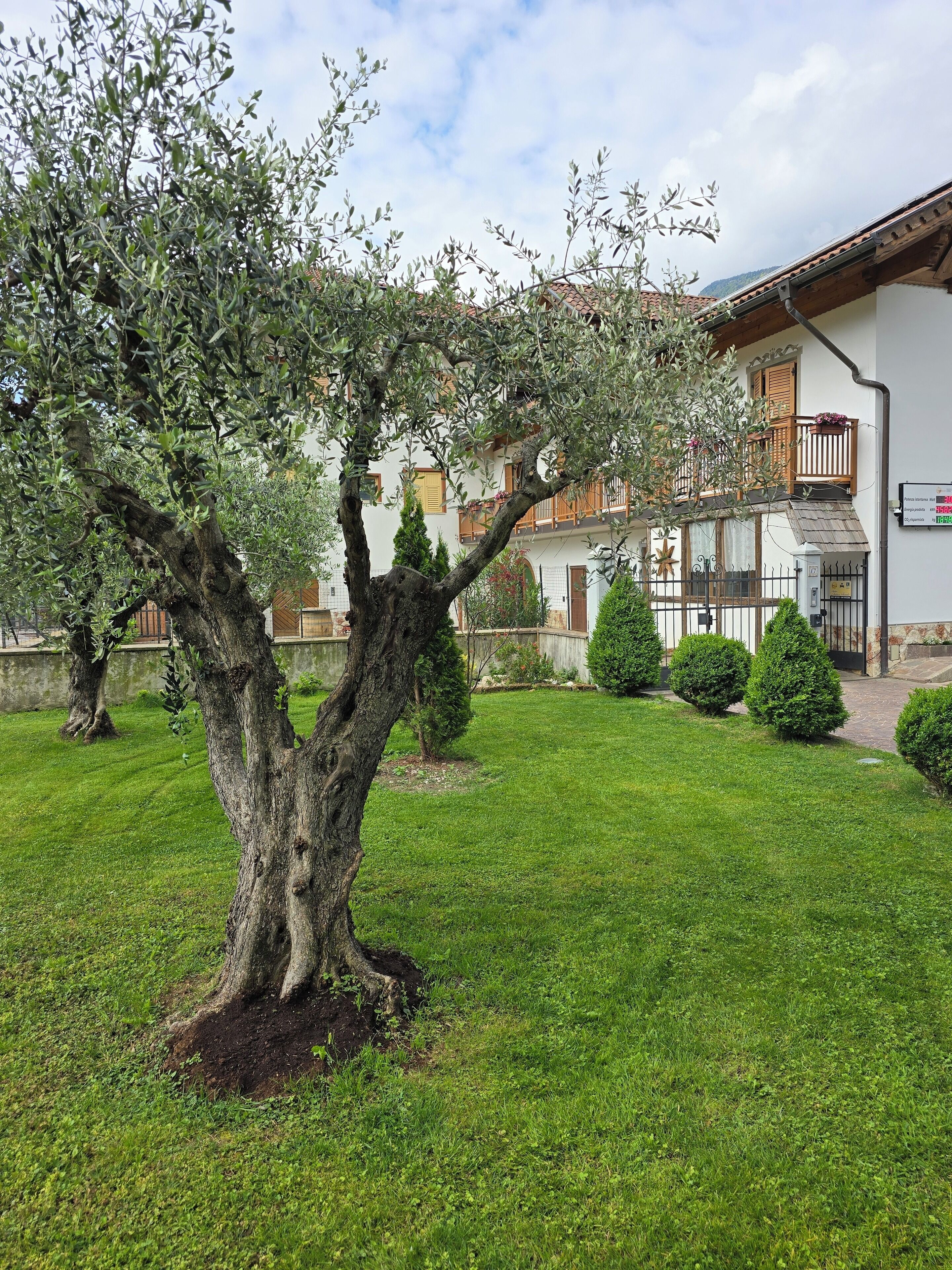 Un patio con un árbol grande, un césped bien cuidado y un edificio con balcón.