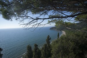 Cảnh từ trên cao