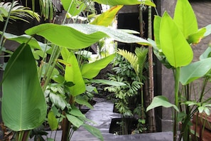A lush indoor garden with a variety of green plants and a small water feature. - Petit Temple Suite & Spa (Siem Reap)