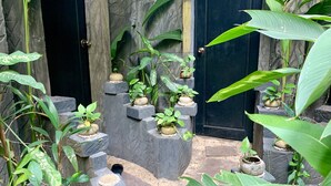 Un jardín con plantas en macetas dispuestas en escalones de piedra que conducen a una puerta.