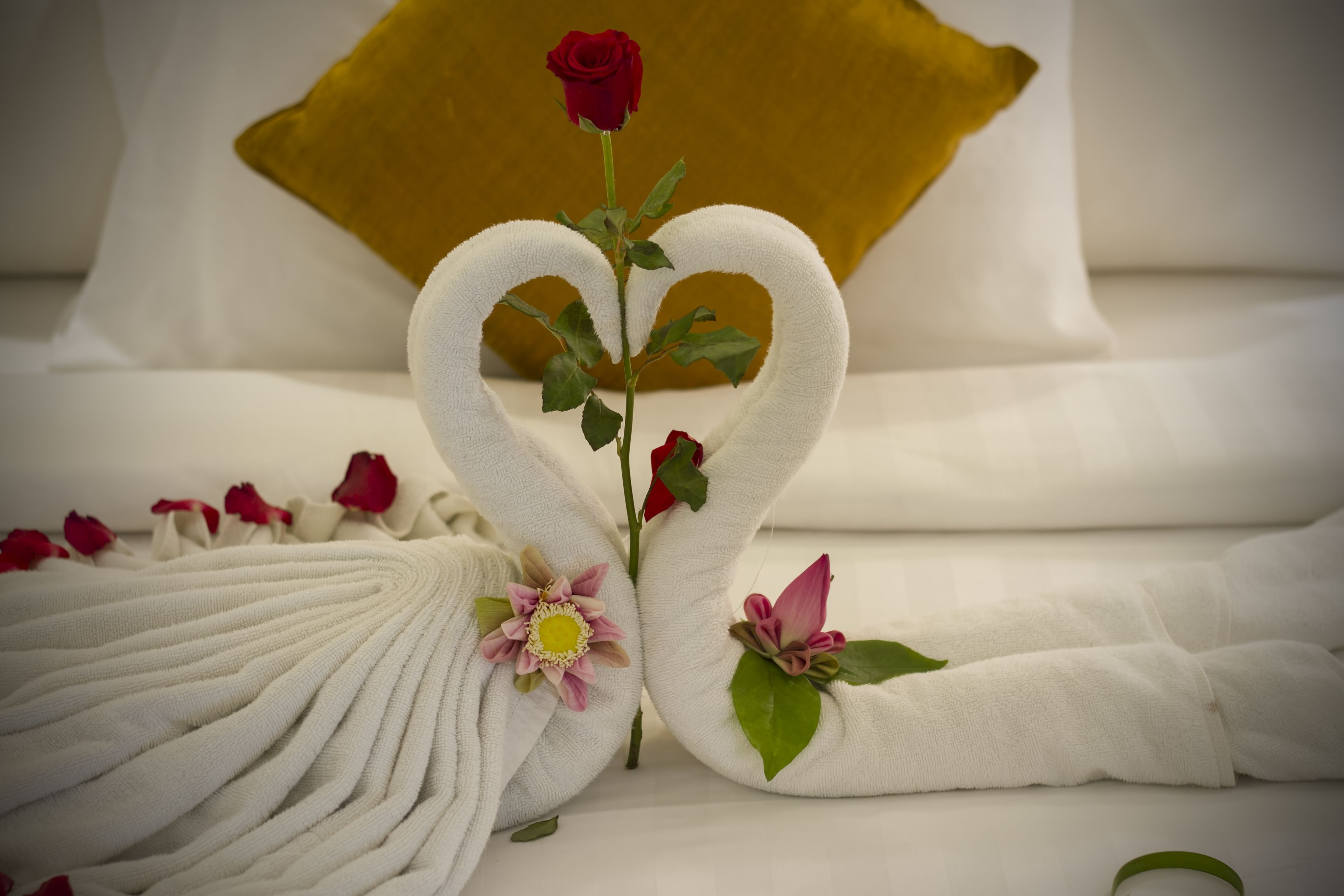 pillow-top beds, minibar, in-room safe, individually decorated