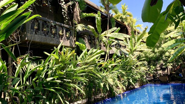 Una piscina rodeada de exuberante follaje tropical y un edificio de piedra con techo de paja.