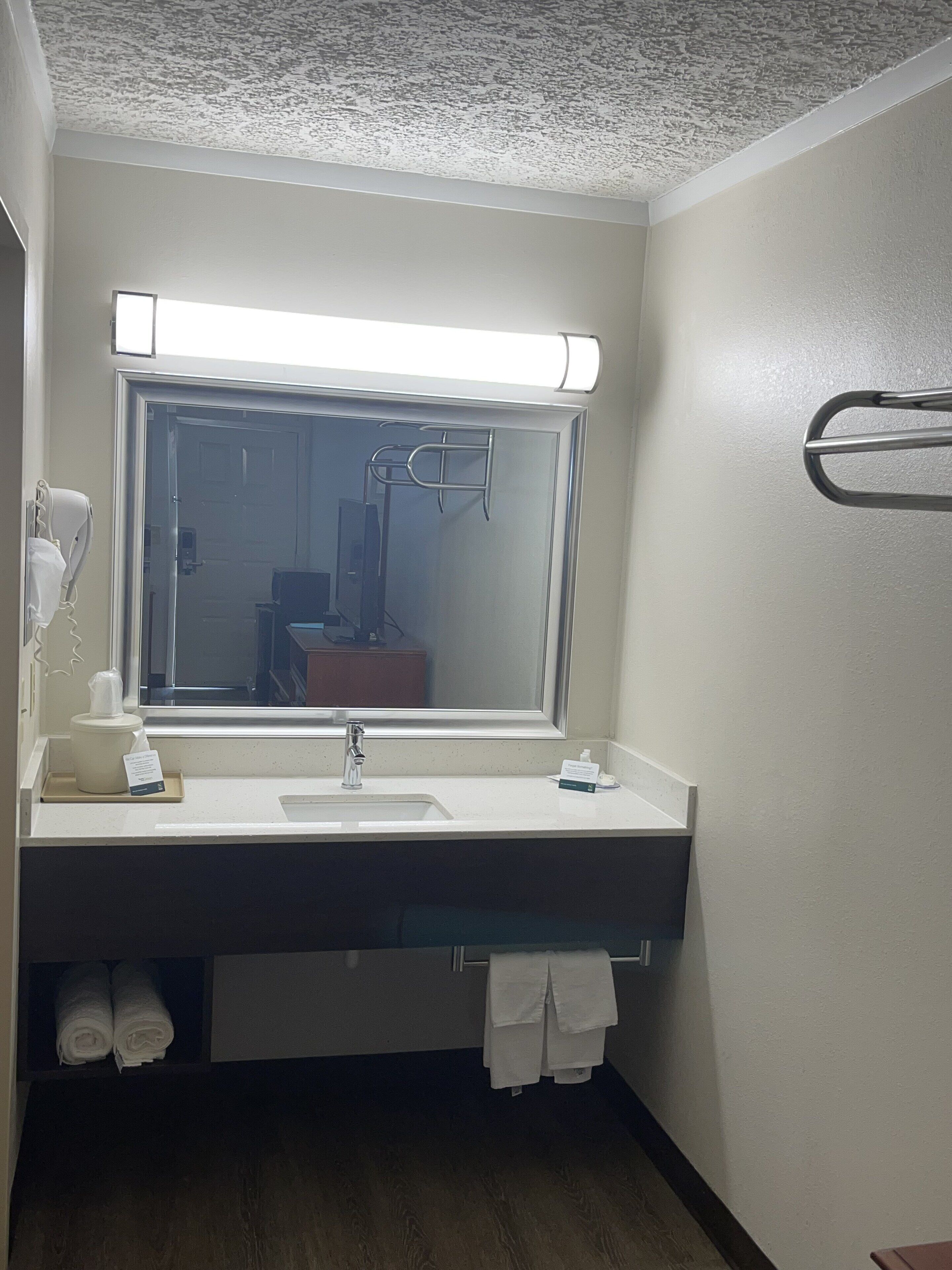 A bathroom with a large mirror, a sink, a towel rack, and a hairdryer.