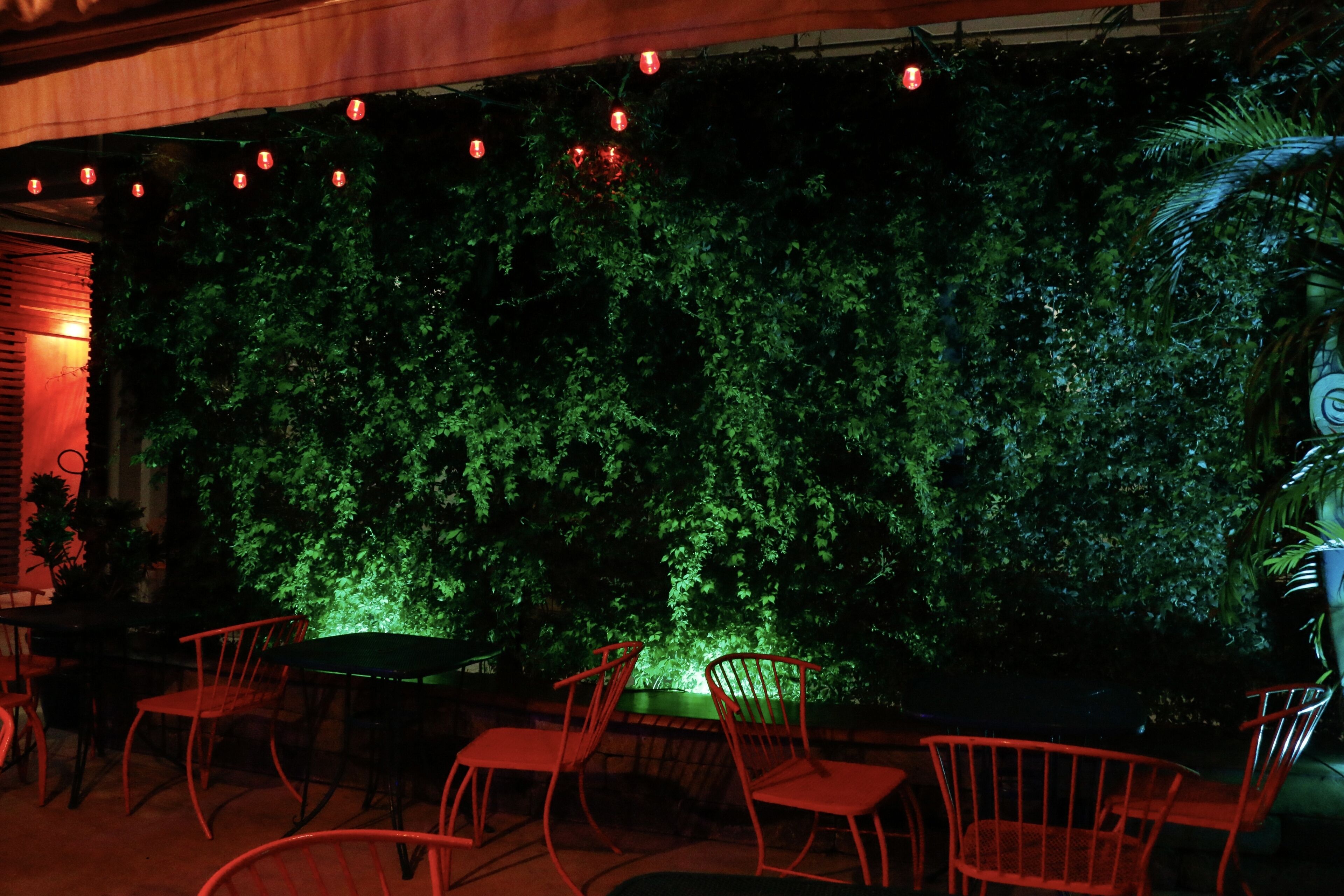 An outdoor seating area with red chairs and tables, a green wall with foliage, and string lights.
