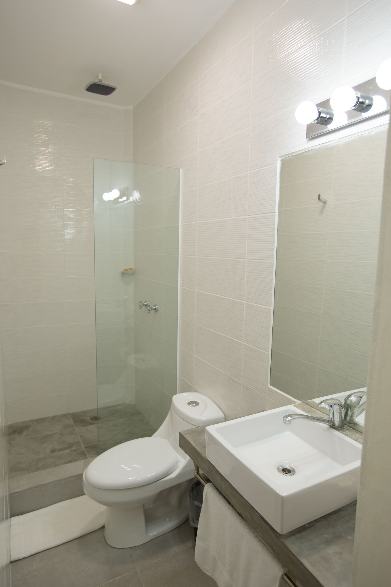 A modern bathroom with a glass-enclosed shower, a white toilet, and a sink with a mirror above it.