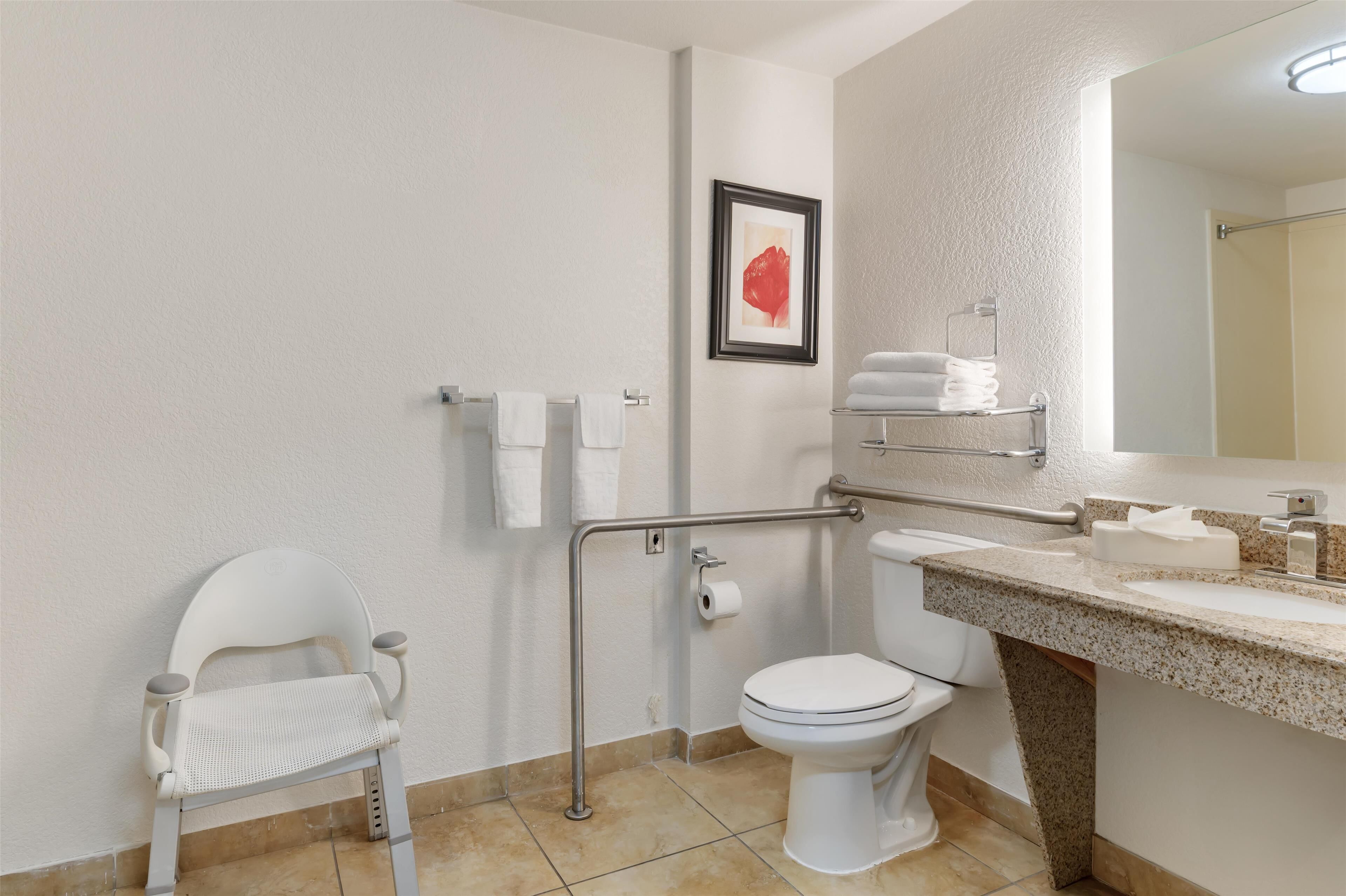 standard room, 1 king bed, accessible, non smoking (walk-in shower) | bathroom | combined shower/bathtub, hydromassage showerhead, free toiletries