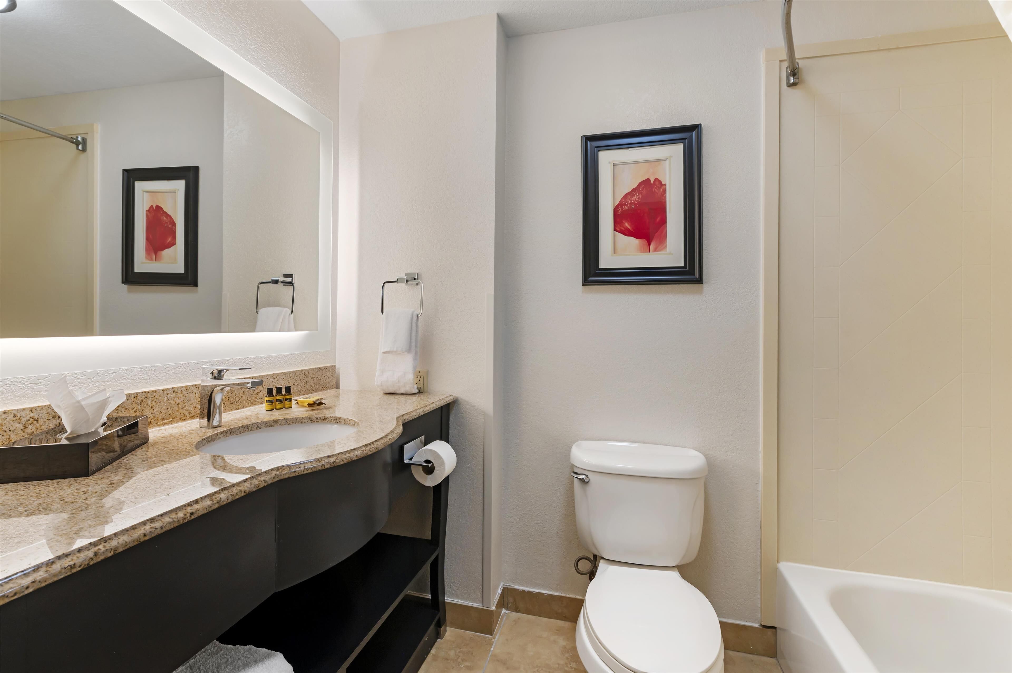 Un baño moderno con un lavamanos grande, inodoro y bañera.