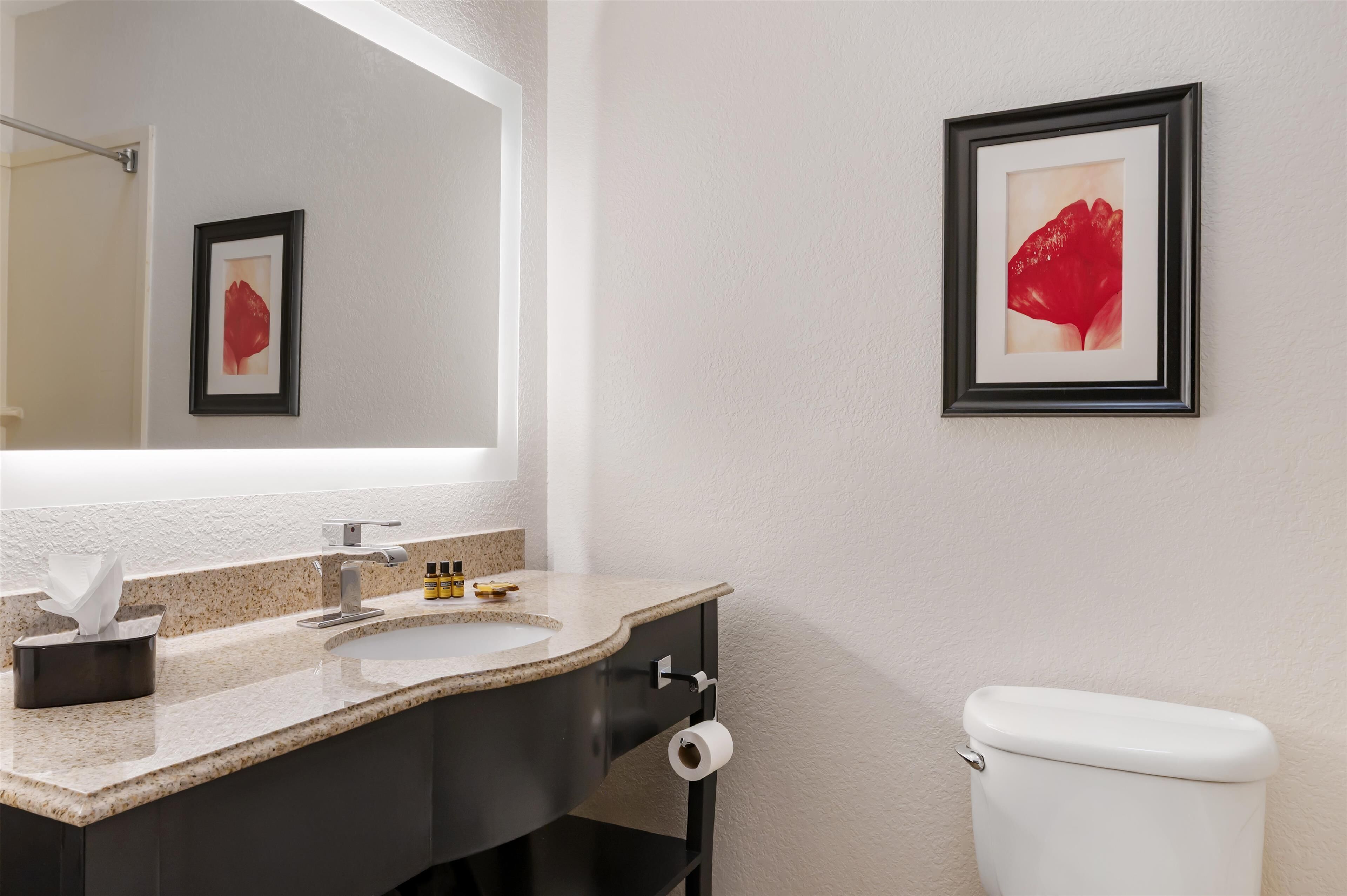 A bathroom with a granite countertop sink, a mirror, a framed picture on the wall, and a toilet.