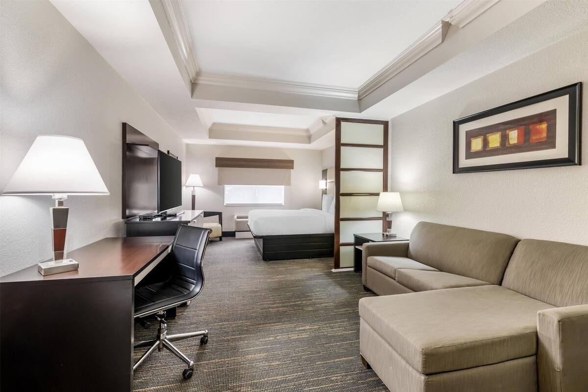 A hotel room with a desk, chair, bed, and sofa.