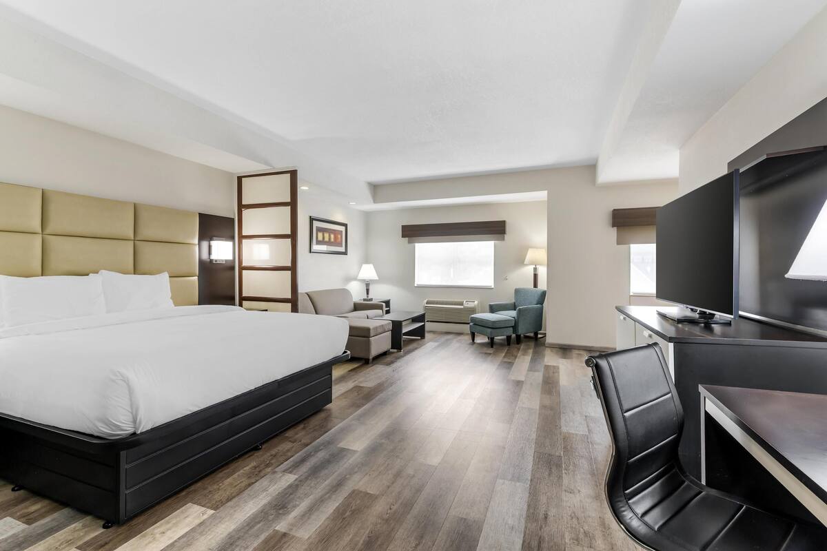 A hotel room with a large bed, a desk, a chair, a TV, and a window.