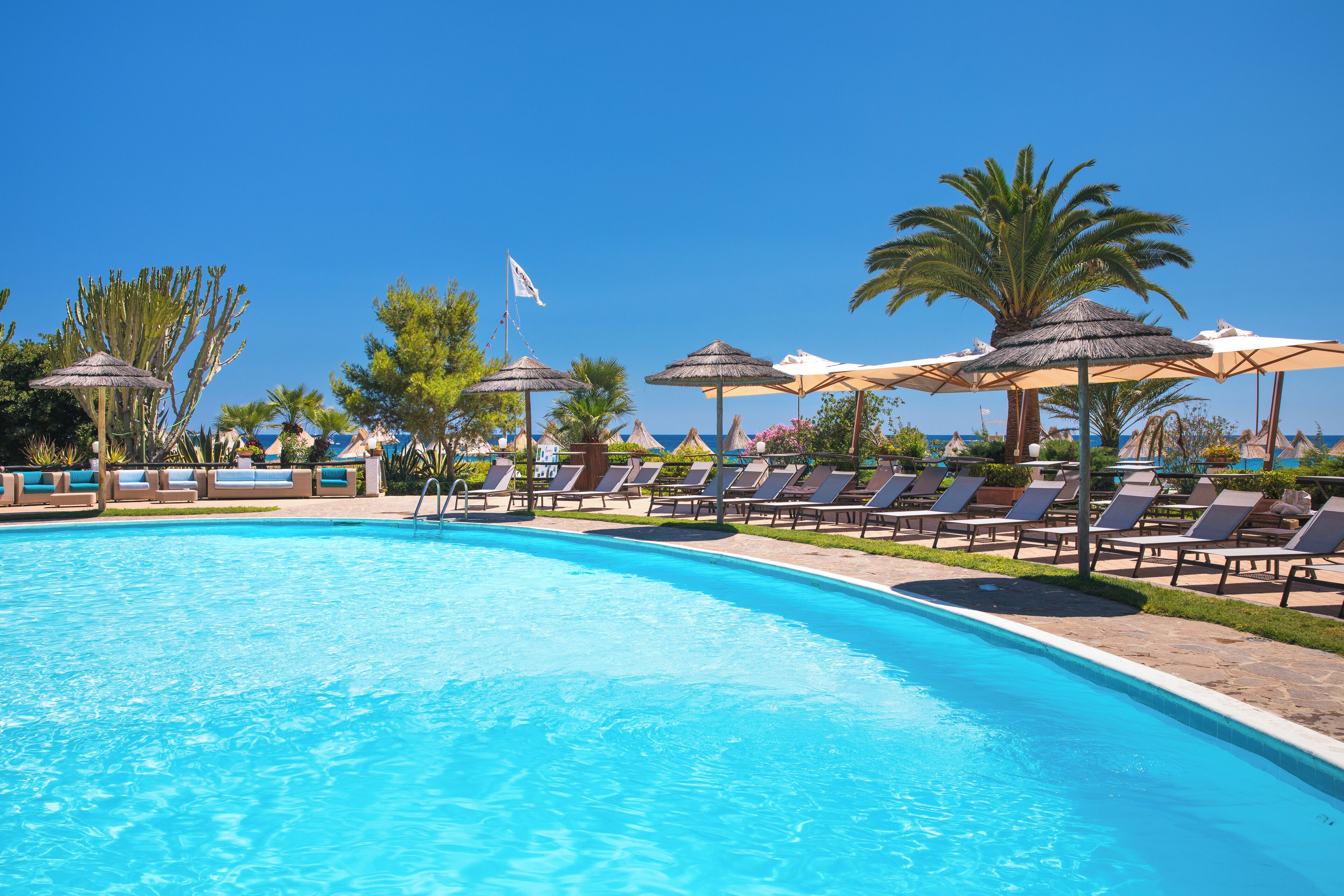 Une piscine entourée de palmiers, avec des chaises longues et des parasols, sous un ciel bleu azur.