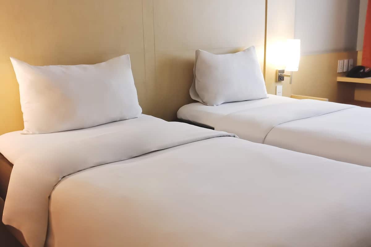Deluxe Room, 2 Single Beds, Mountain View