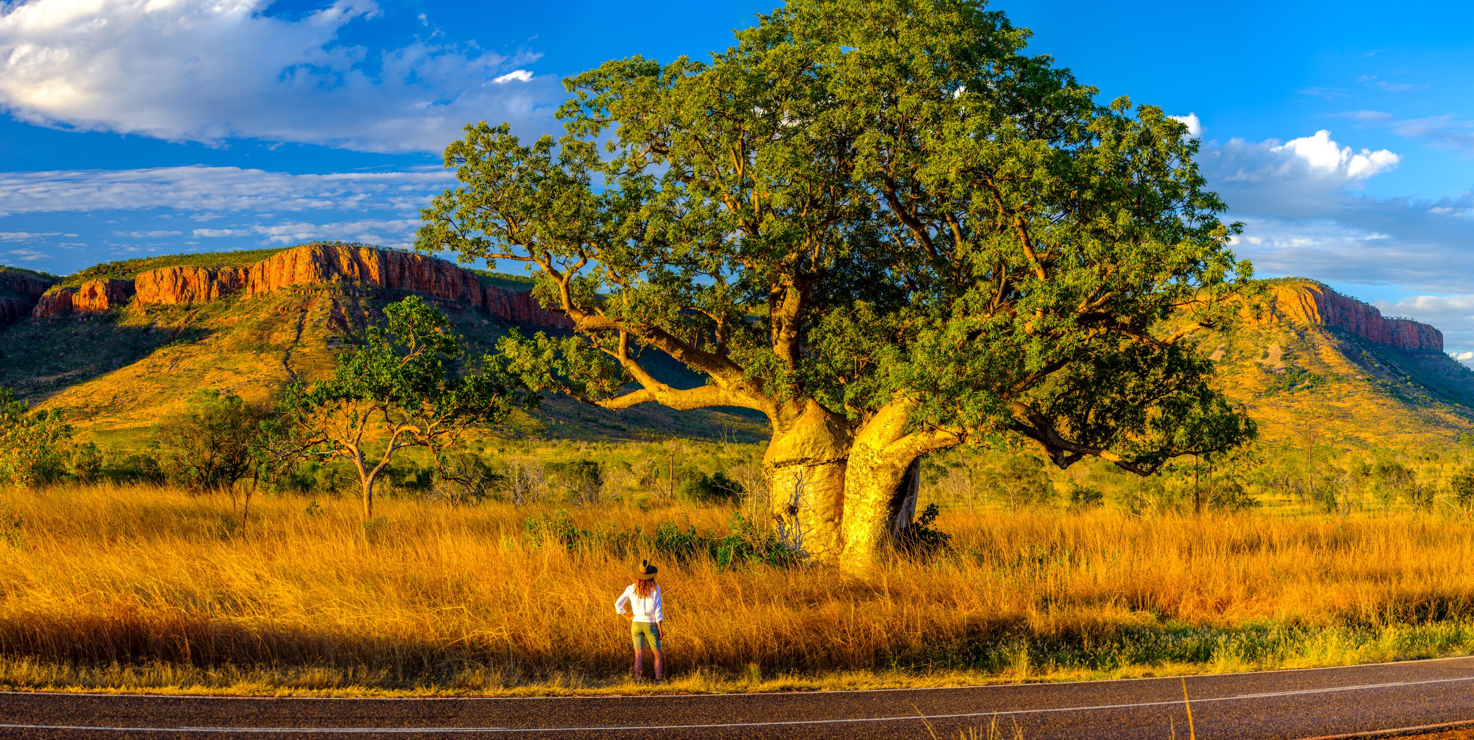 A person standing by a road with a large tree and hills in the background.