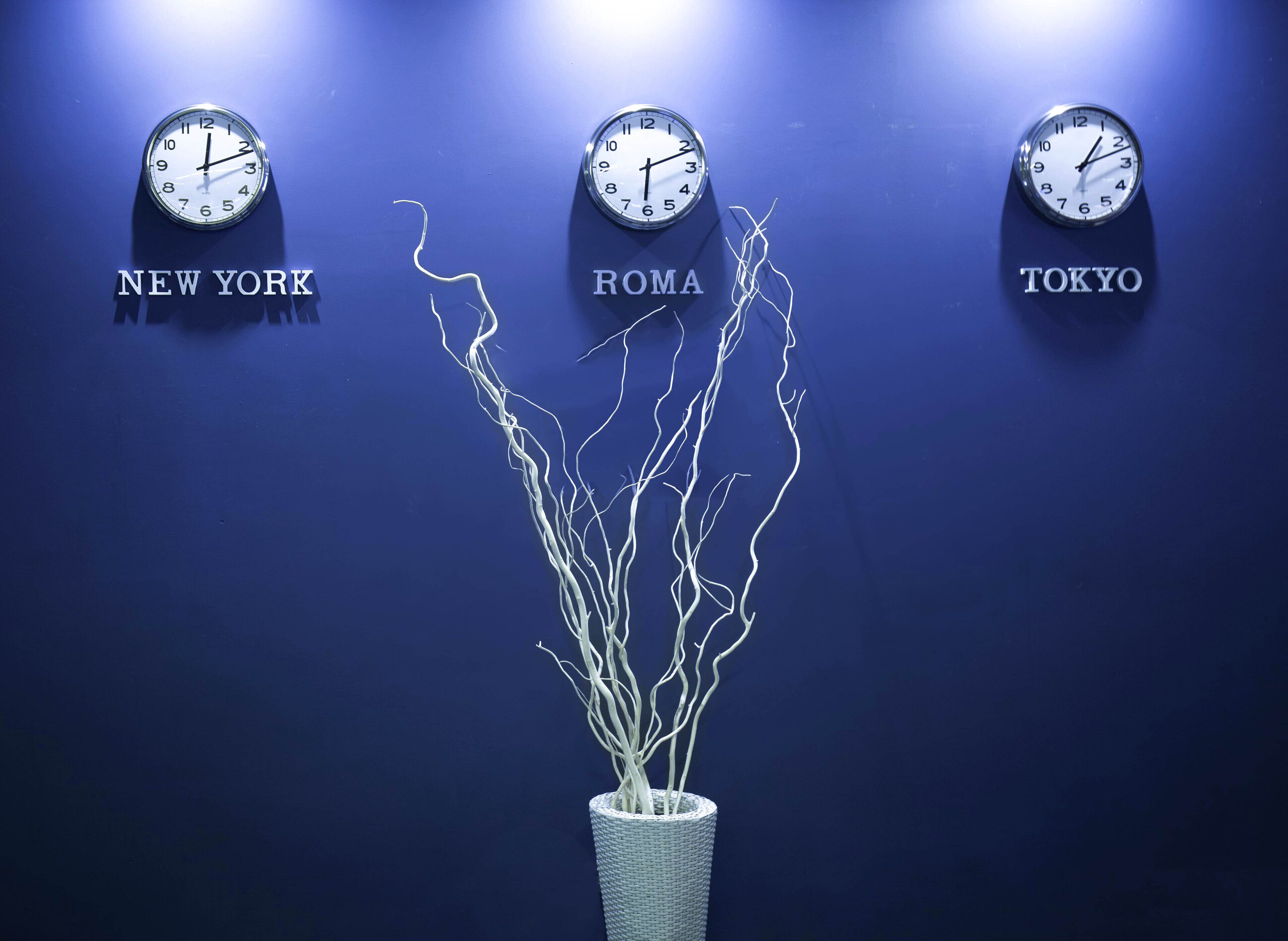 Sur un mur bleu, on peut voir trois horloges portant les inscriptions « NEW YORK », « ROME » et « TOKYO », avec une plante décorative placée au centre.