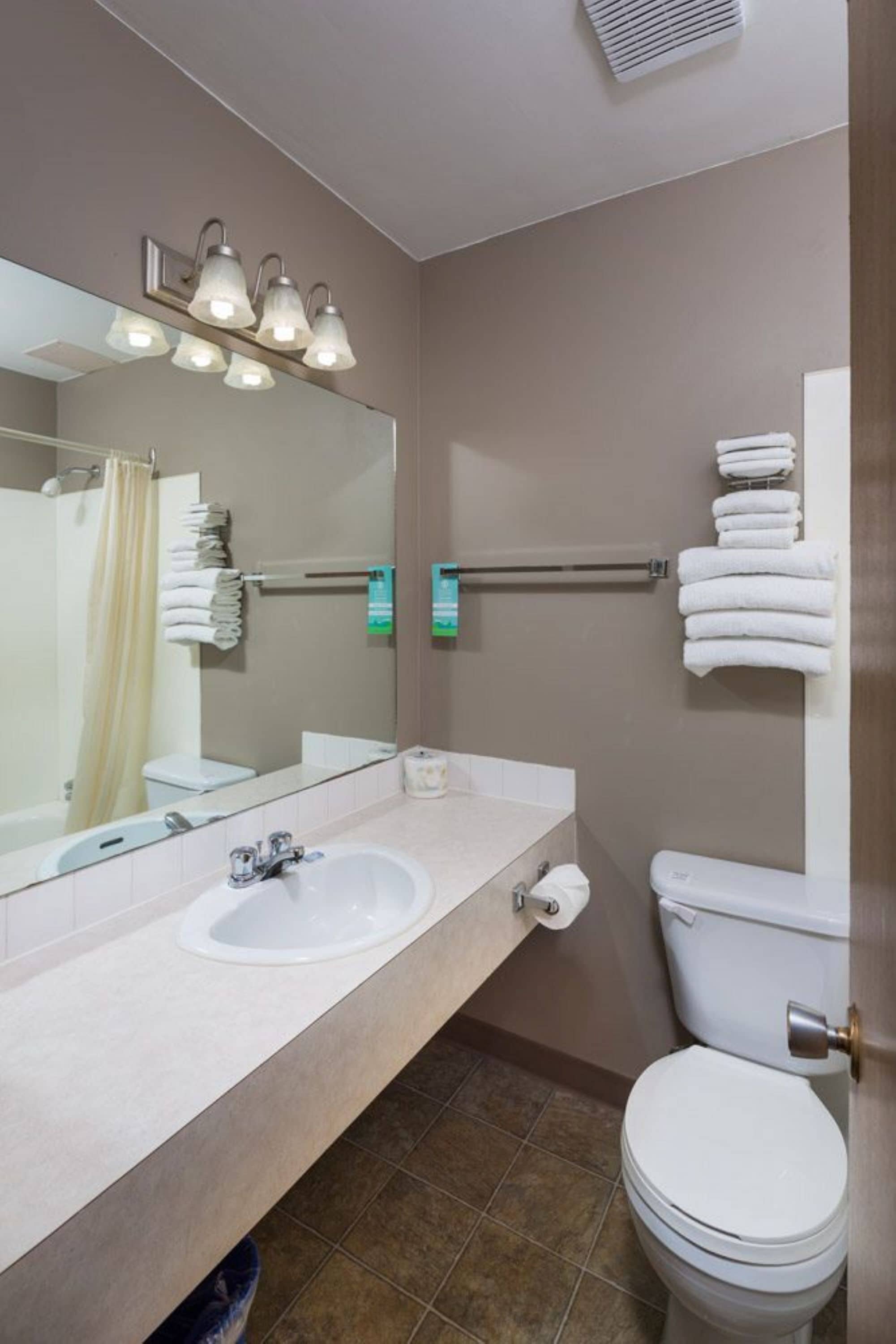 Un baño con lavabo, espejo, toallero, inodoro y cortina de ducha.