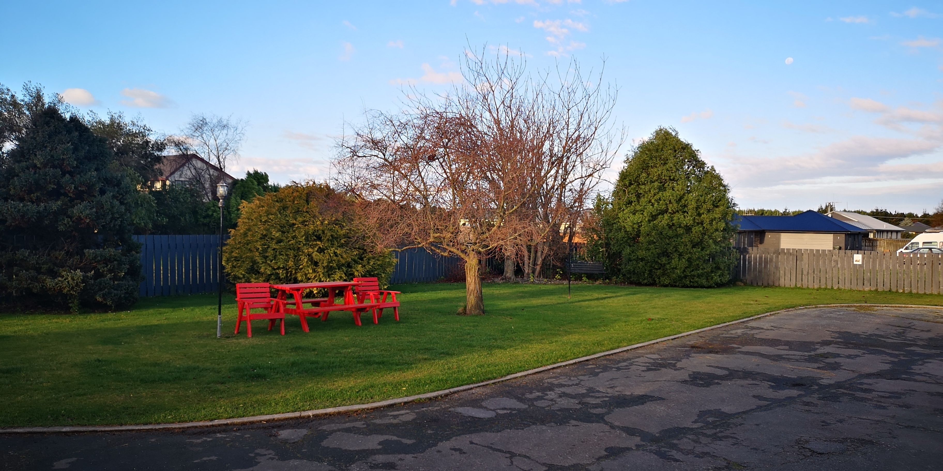 A residential backyard with a lawn, a wooden fence, and a tree.