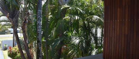 Executive-Suite | Blick vom Balkon