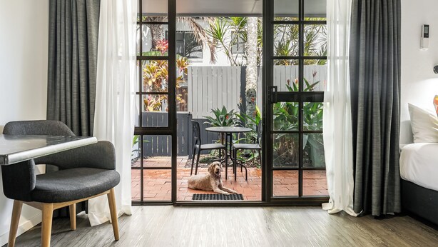 A room with a sliding glass door leading to an outdoor patio, a bed, a desk with a chair, and a dog lying on the patio. - Ballina Homestead Motel (Ballina)