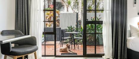 Vista al patio