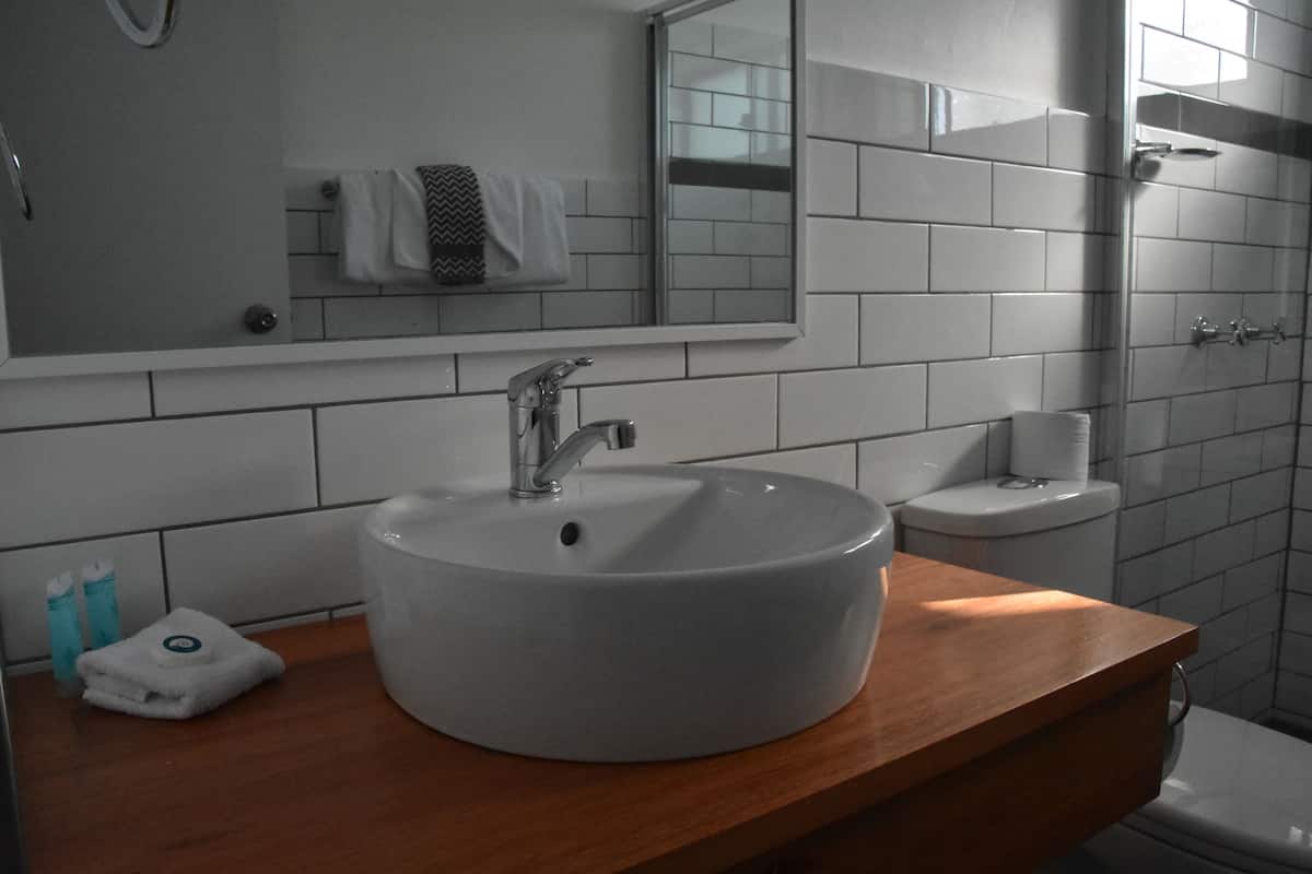 Motel Room | Bathroom | Shower, free toiletries, hair dryer, towels