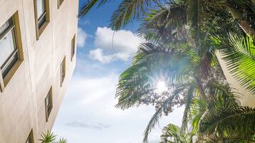 A building with multiple windows and a view of palm trees and the sky.