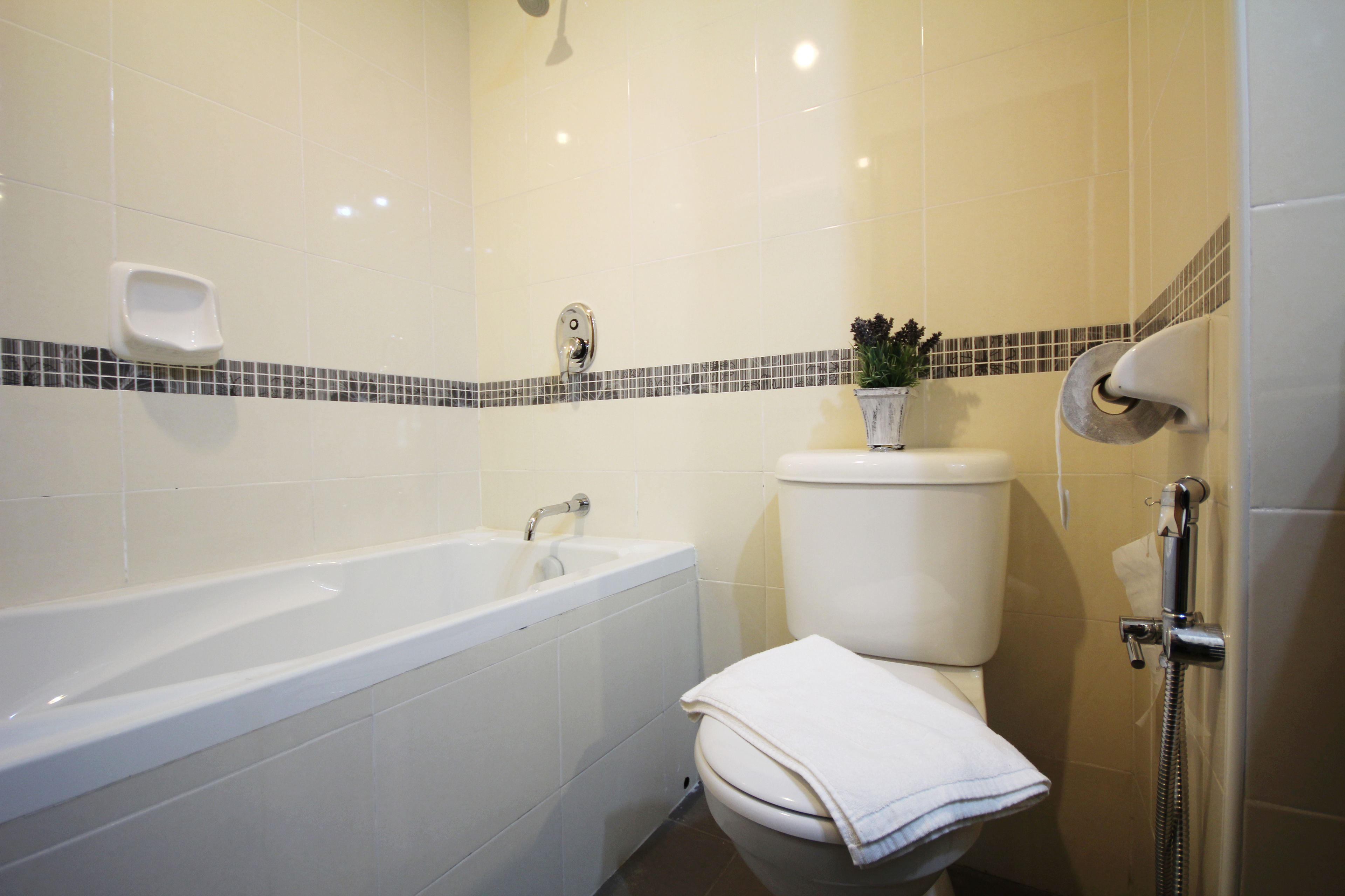 Regadera, amenidades de baño gratuitas, secadora de cabello, bidet 