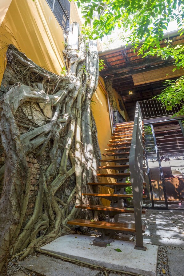 Enceinte de l’hébergement