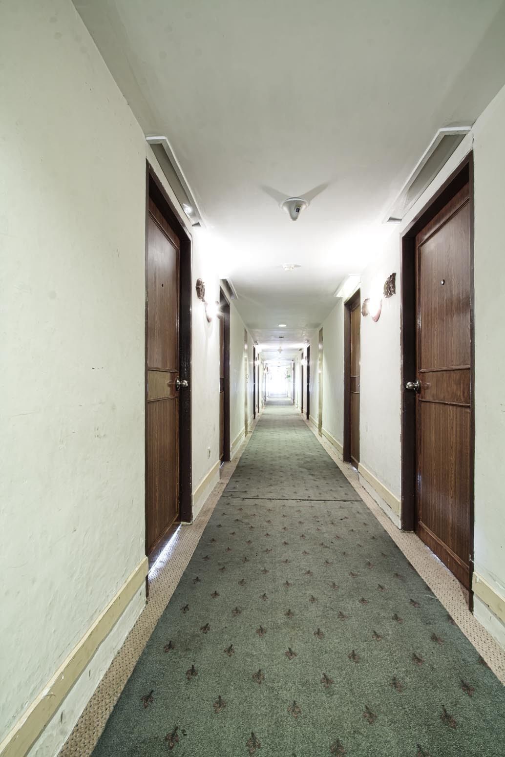A long, narrow hallway with wooden doors on both sides and a carpeted floor.