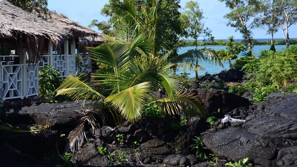 Un entorno tropical con una cabaña de techo de paja, exuberante follaje y un litoral rocoso.