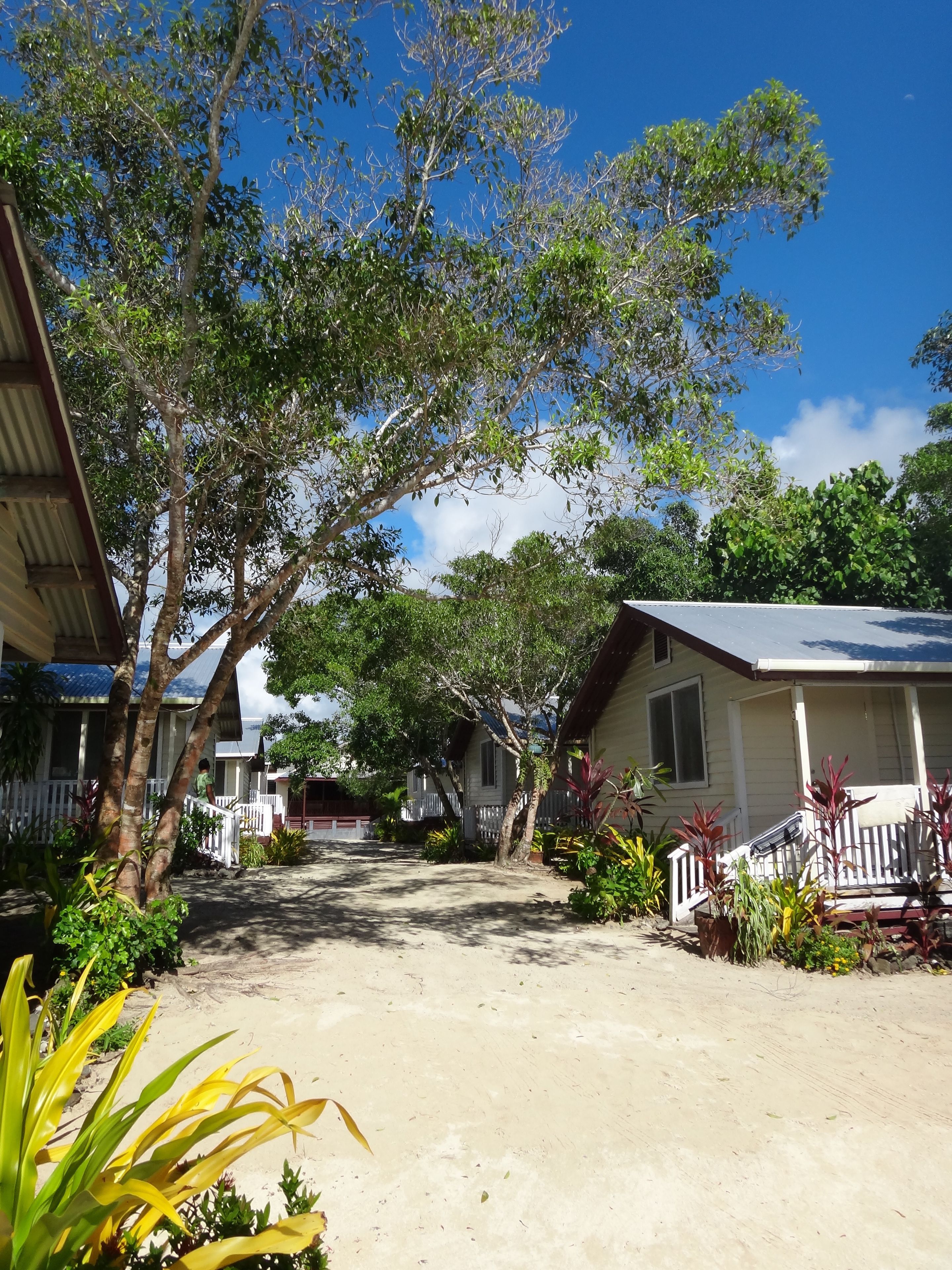 A residential area with houses, a dirt path, and lush greenery.