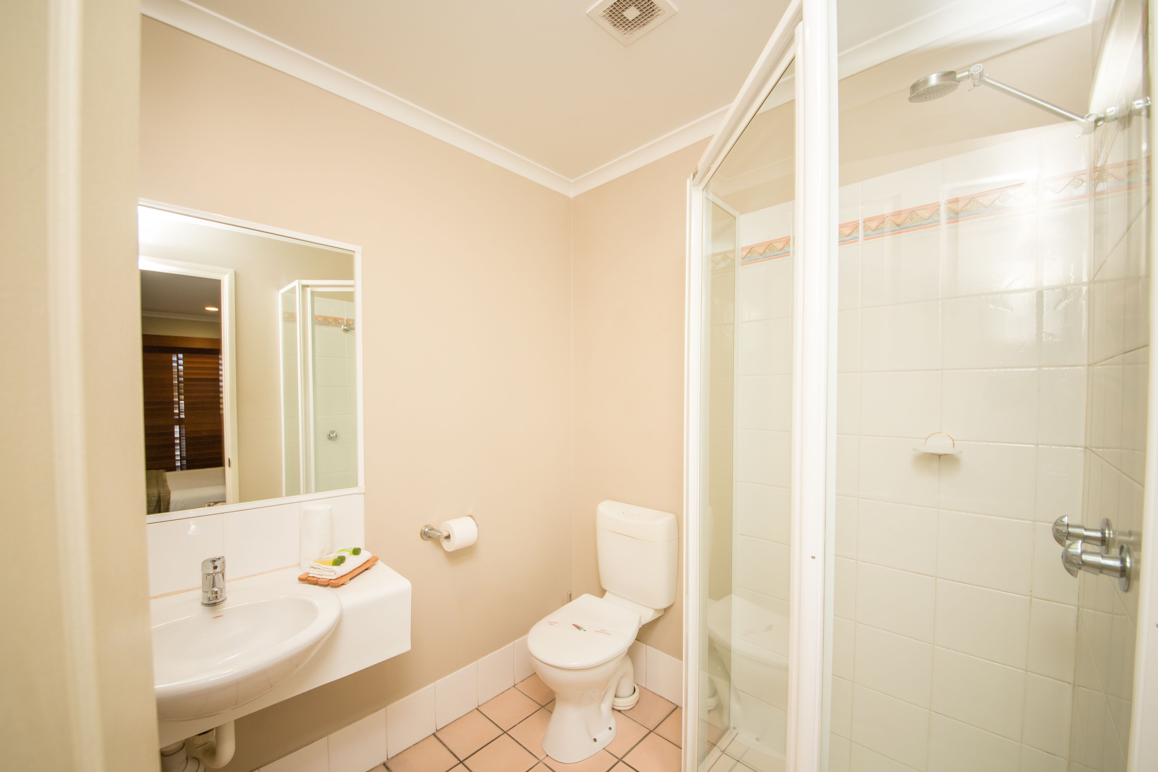 Une salle de bain avec un lavabo, des toilettes et une douche.
