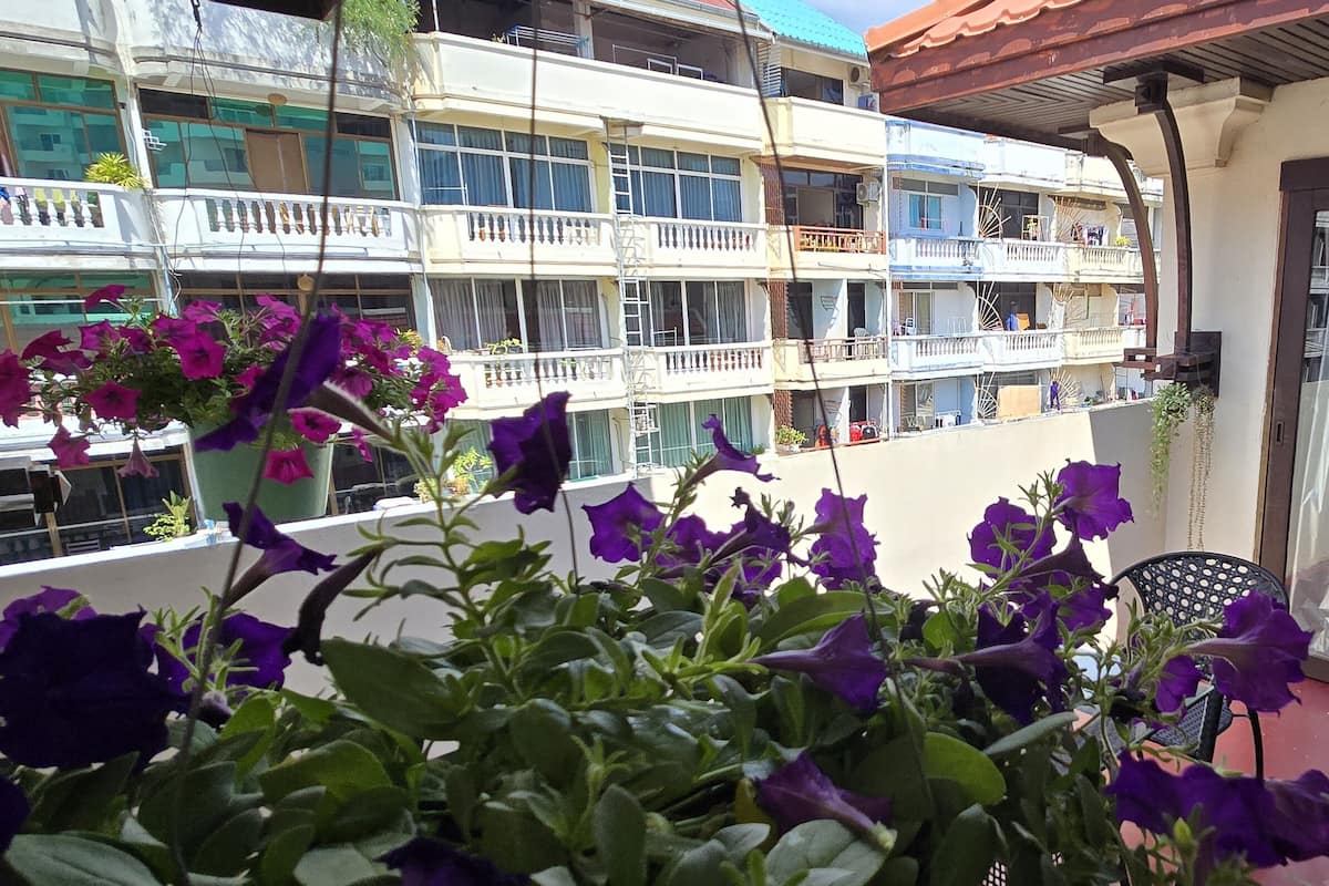 A balcony with purple flowers, a view of a multi-story building with balconies, and a sliding glass door with curtains.