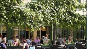 Un café al aire libre con mesas y sillas bajo un dosel de árboles.