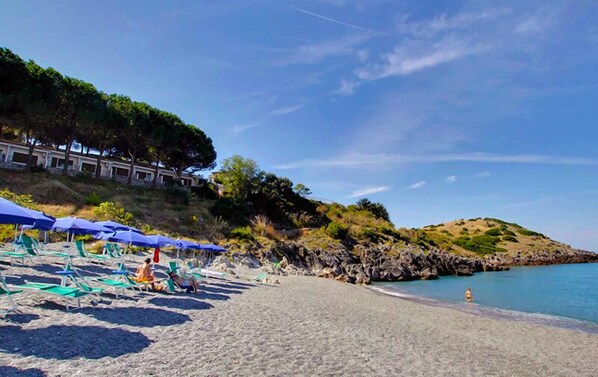 ビーチ / オーシャン ビュー