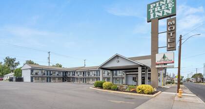 Pine Tree Inn