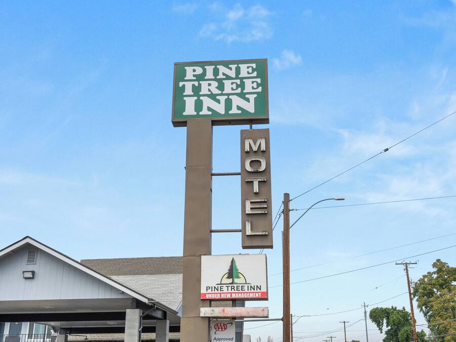 A motel sign with 'Pine Tree Inn' and 'Motel' text, and a smaller sign below stating 'Pine Tree Inn Under New Management'.