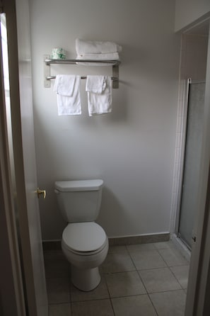 Habitación estándar | Baño | Secadora de cabello y toallas 