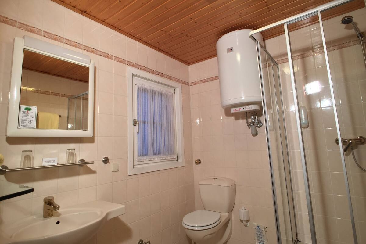 shower, free toiletries, hair dryer, towels