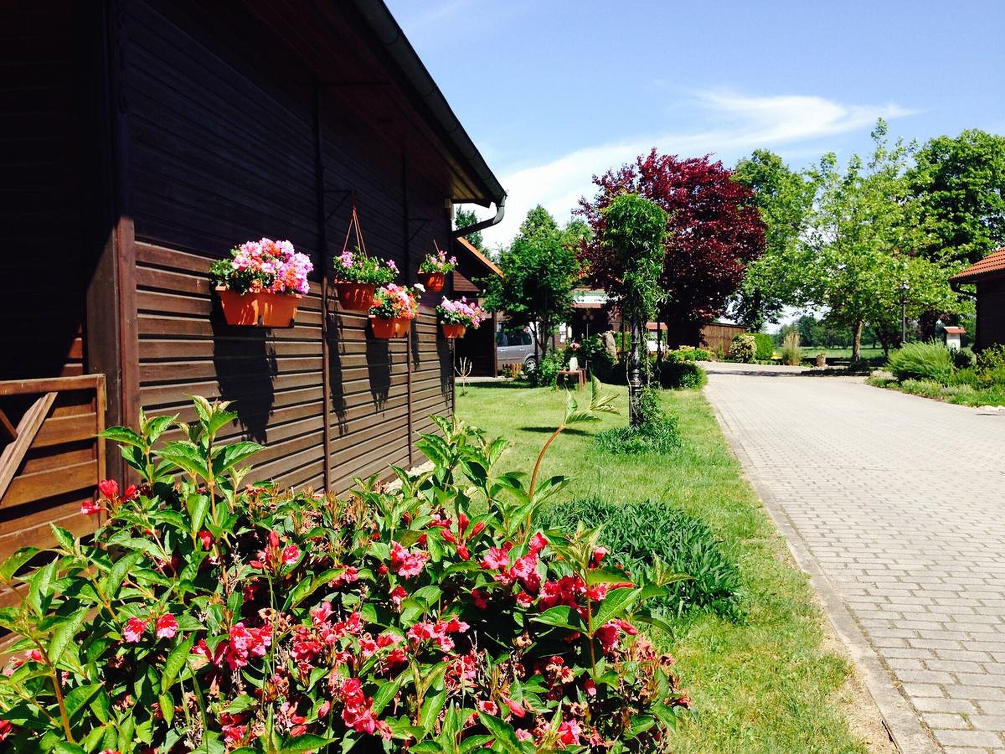 Utsikt mot trädgården