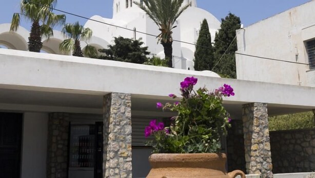 A building with a white facade, stone pillars, and a large flower pot with purple flowers. - King Thiras (Santorini)