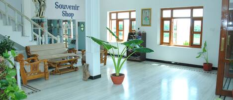 A spacious room with a wooden floor, a sofa, a coffee table, and a potted plant.