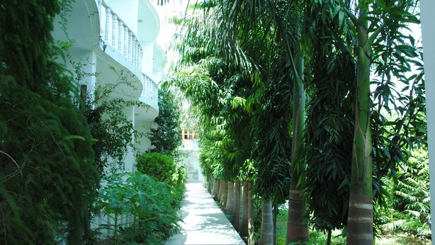 A pathway flanked by lush greenery and a white building with balconies. - Hotel Isabel Palace (Rajnagar)