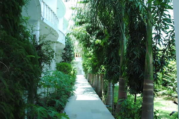 Children's activities