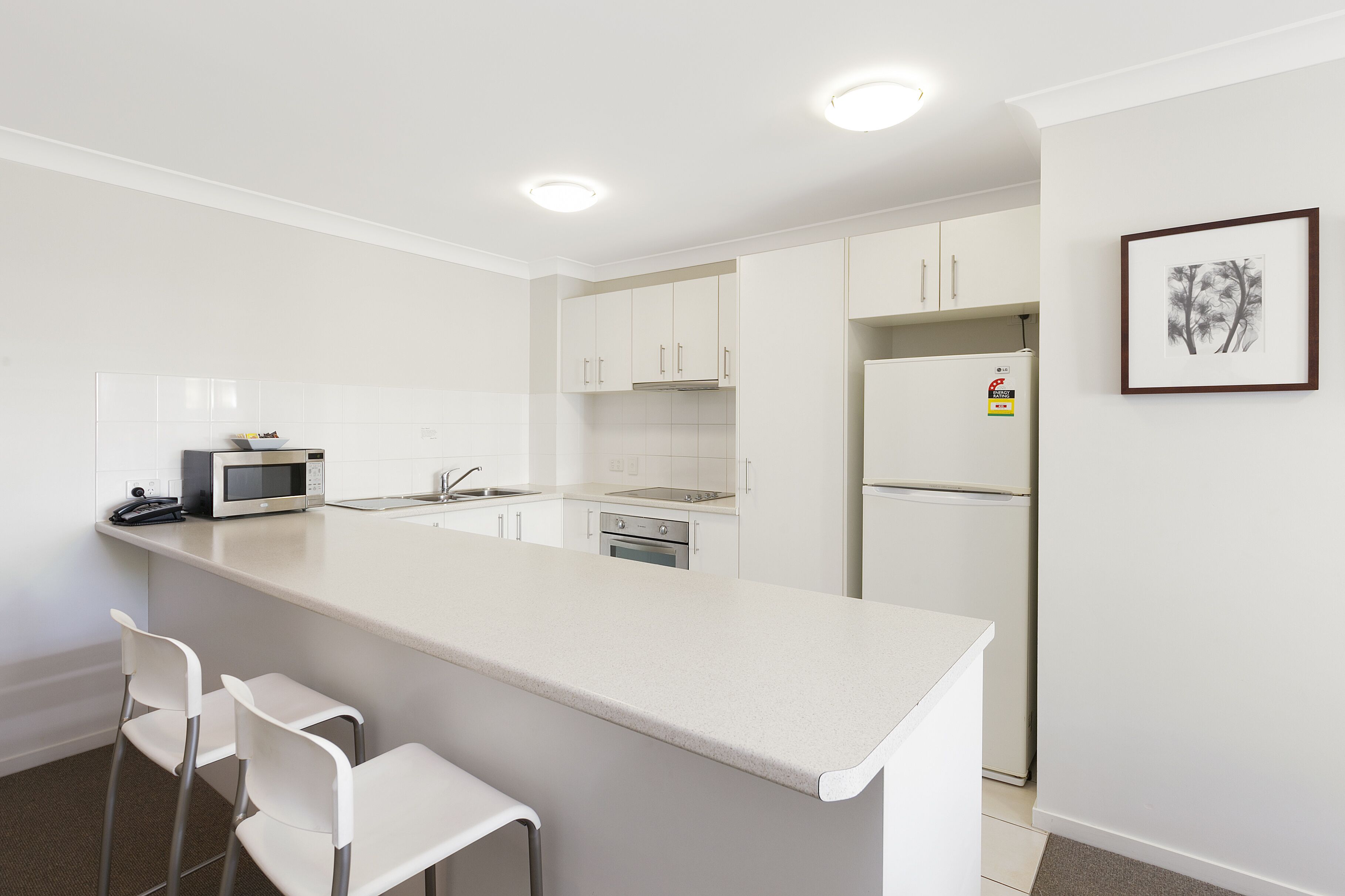 fridge, microwave, coffee/tea maker, toaster