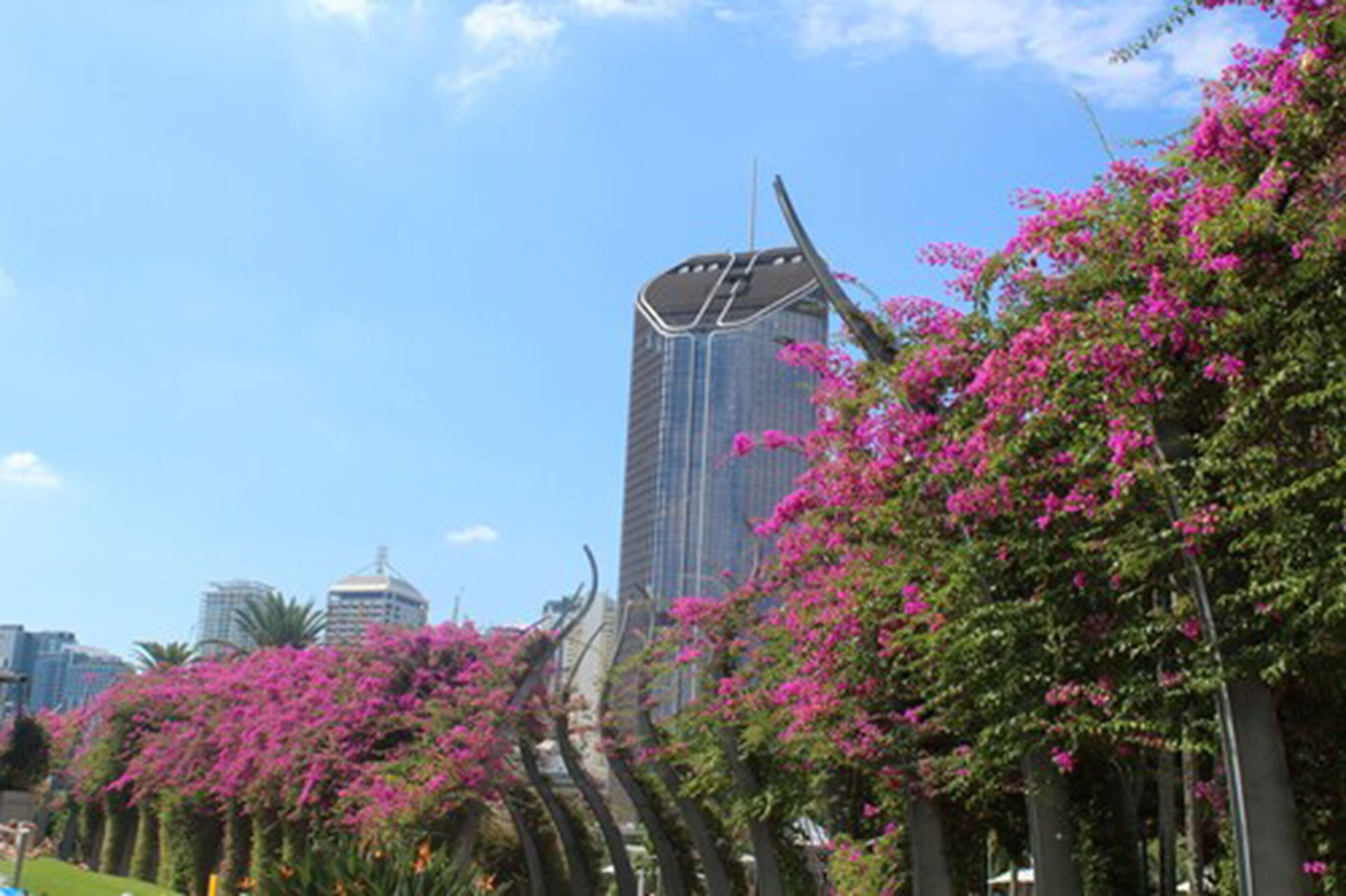 Foto - Parkview Apartments